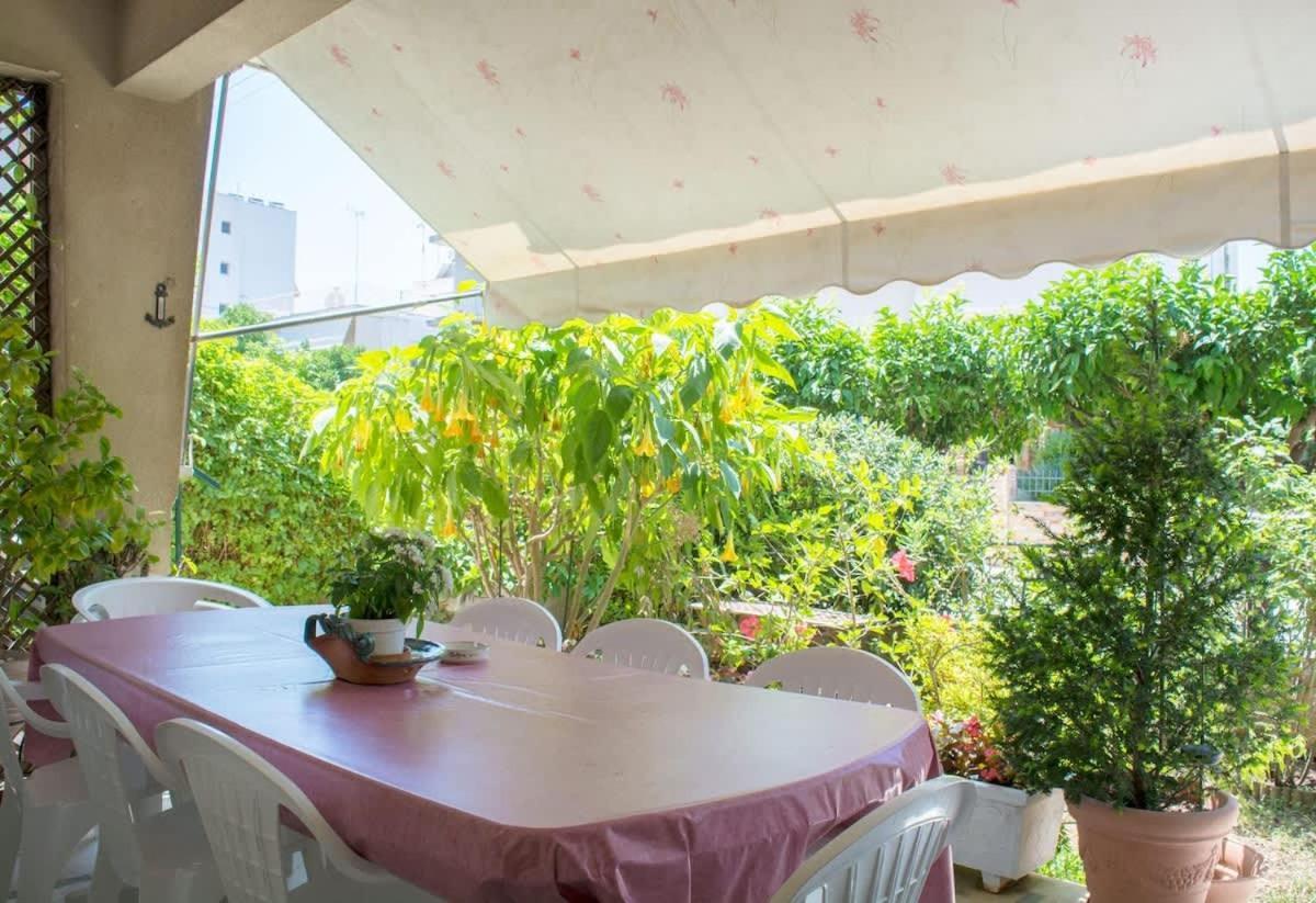 Apartment Family With Garden Next To The Sea Athens